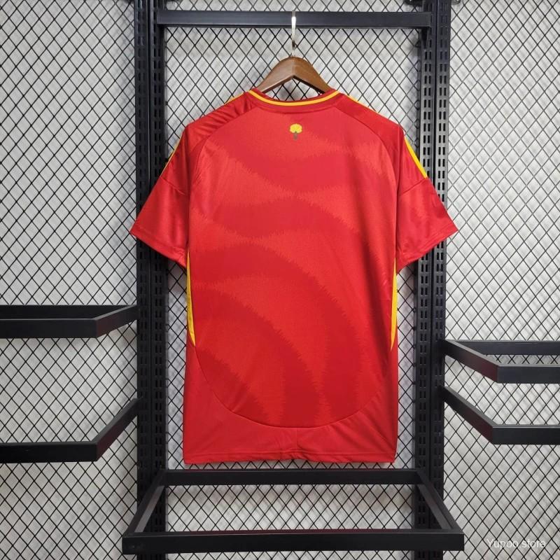 SPAIN HOME KIT EURO 2024